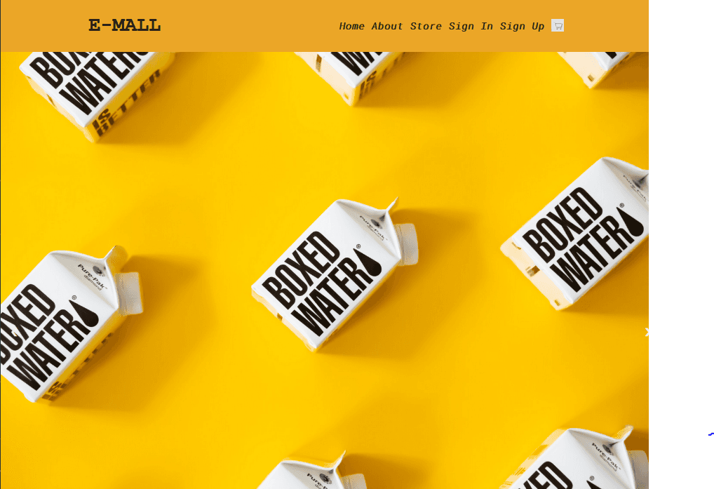 Ecommerce Website